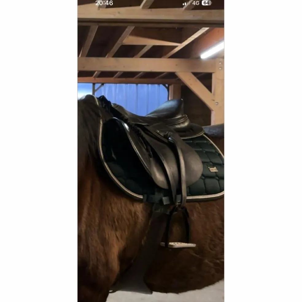 Selle cavalhorse