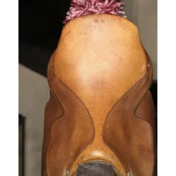 Selle cheval de trait