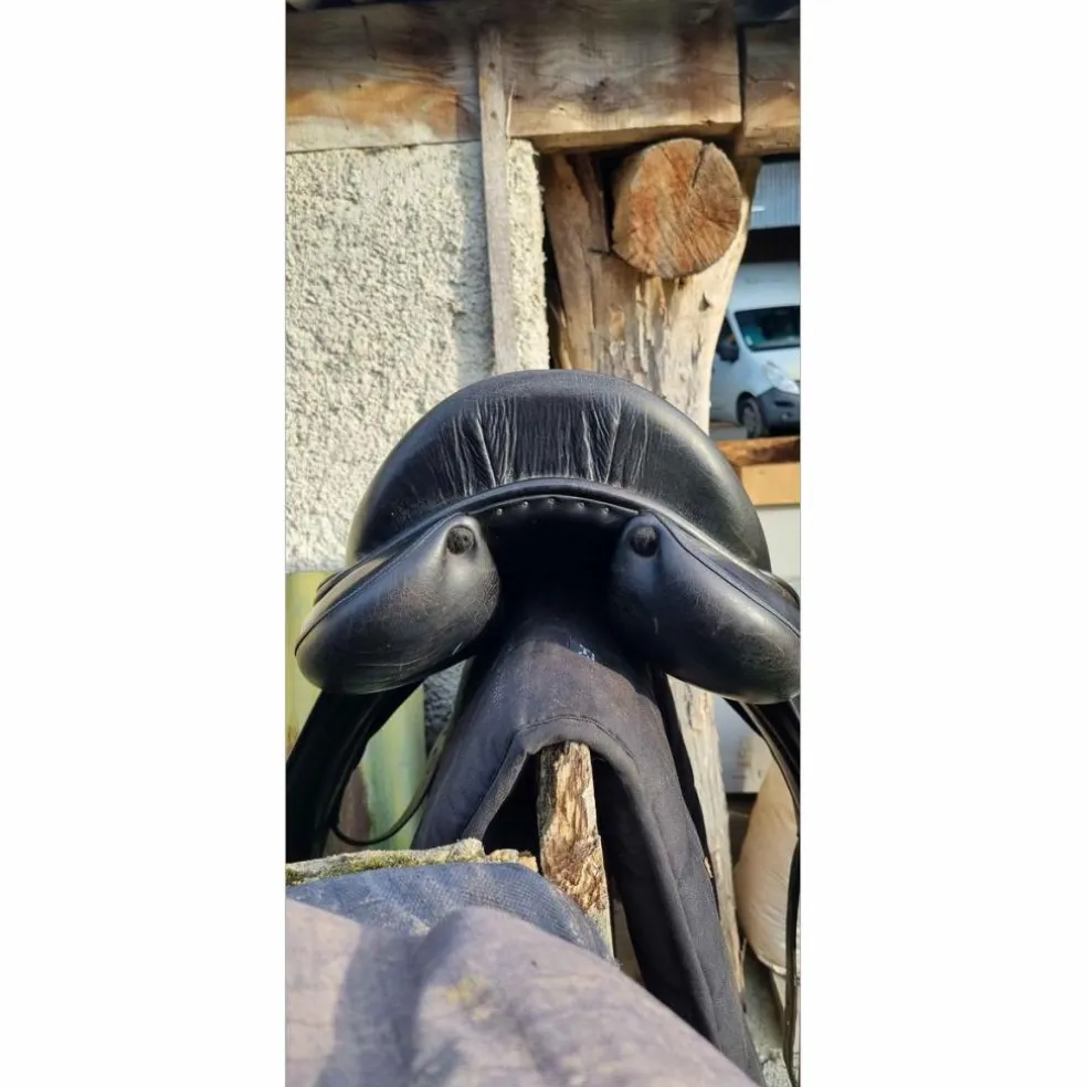 selle Childeric dressage