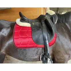 selle Childeric HDC 2019