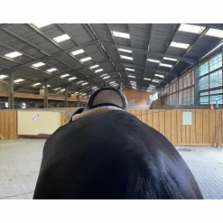 selle Childeric HDC 2019
