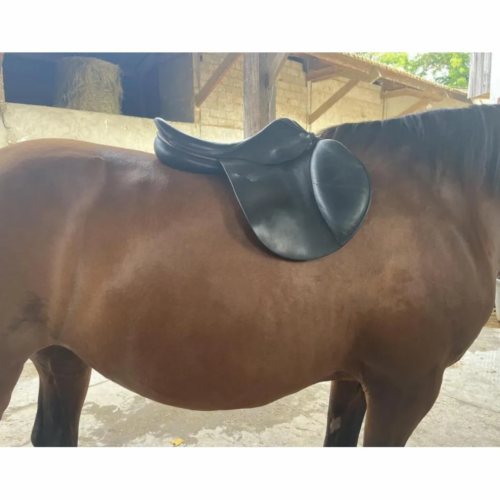 Selle childeric noire