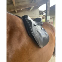 Selle childeric noire