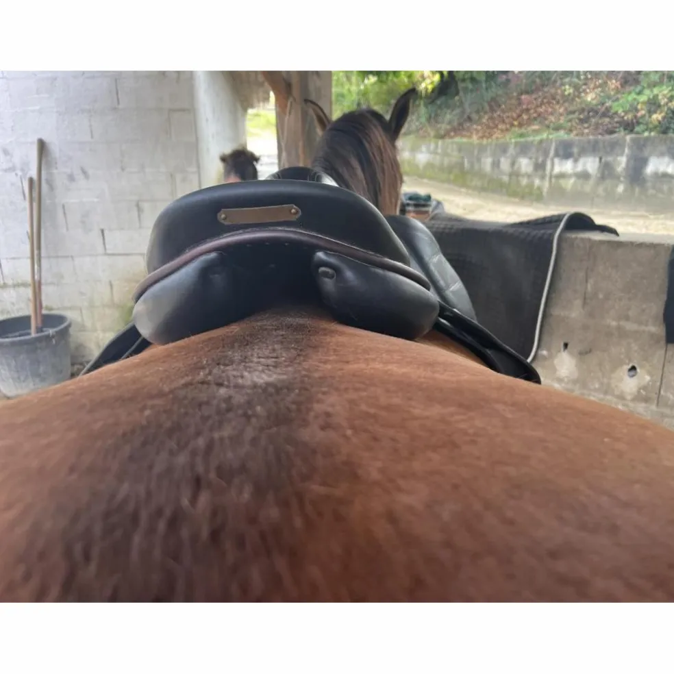 Selle childeric noire