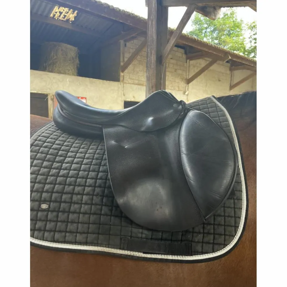 Selle childeric noire