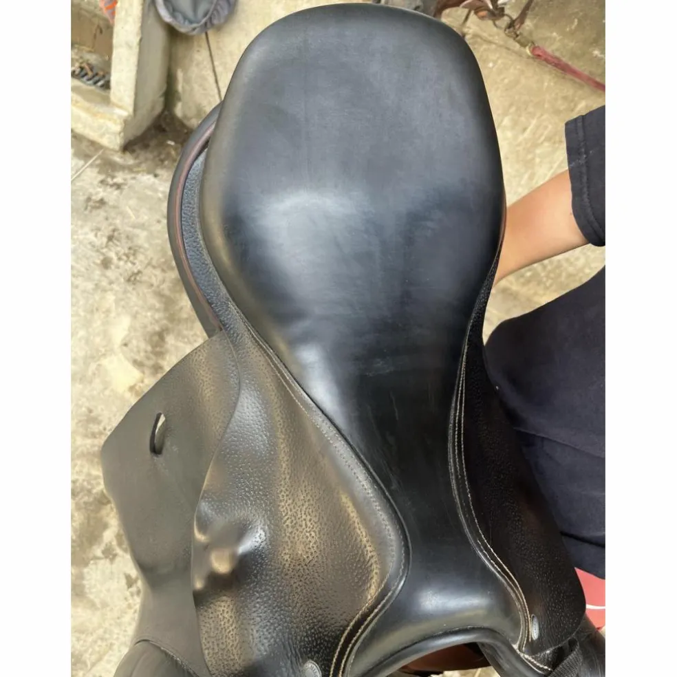 Selle childeric noire
