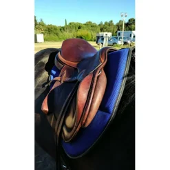 Selle Childeric toute équipée