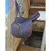 Selle Childéric FAP