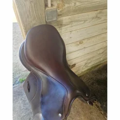 Selle Childéric FAP