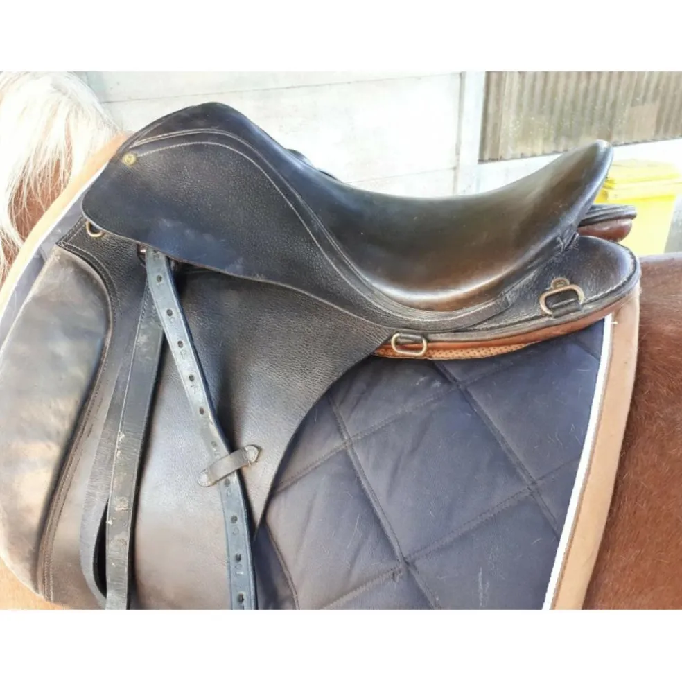 selle complête et filet