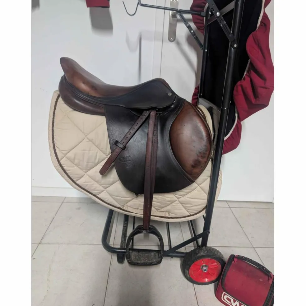 selle CWD