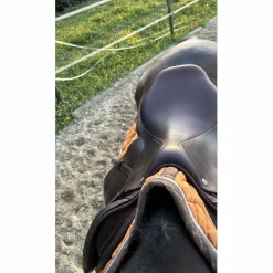 Selle cwd