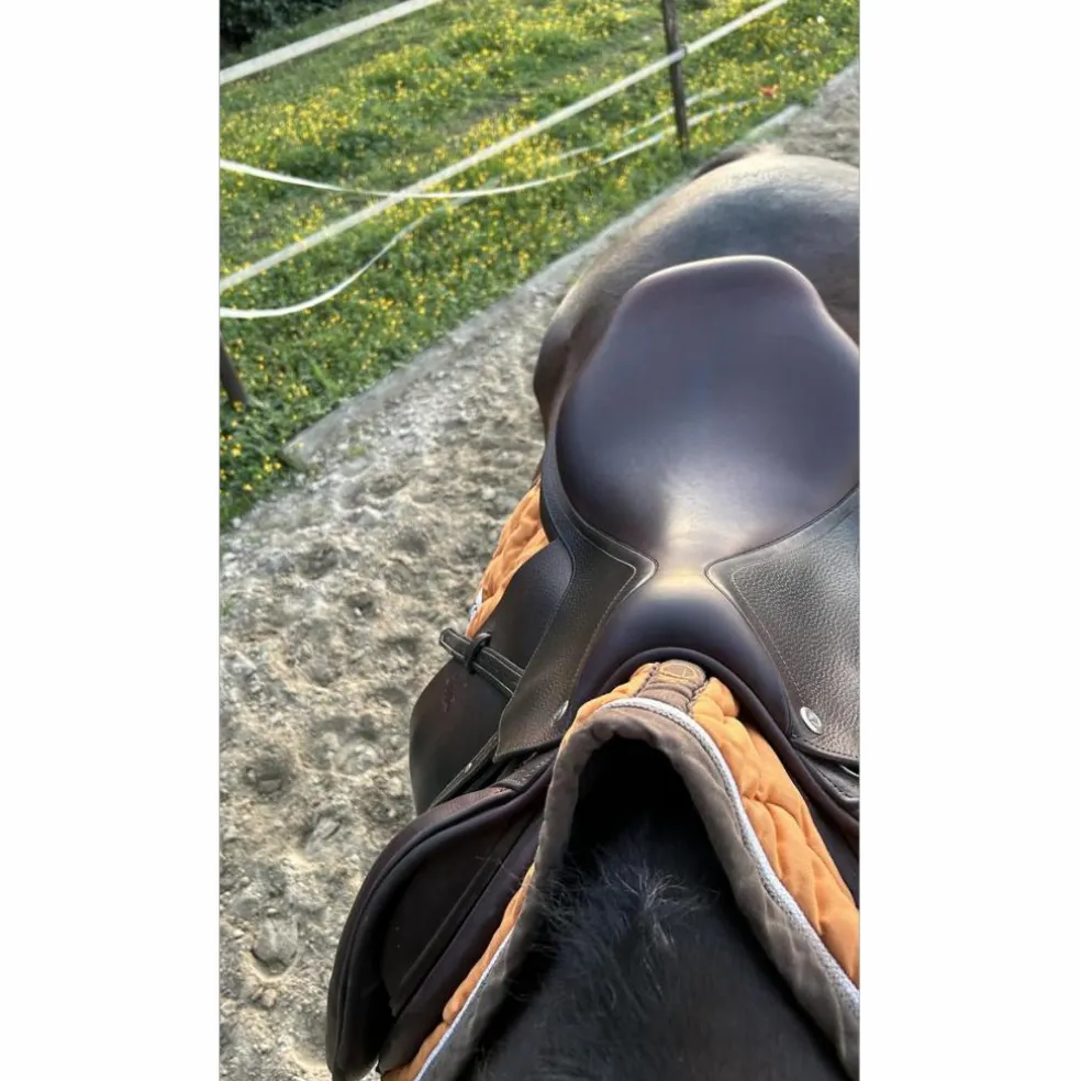 Selle cwd