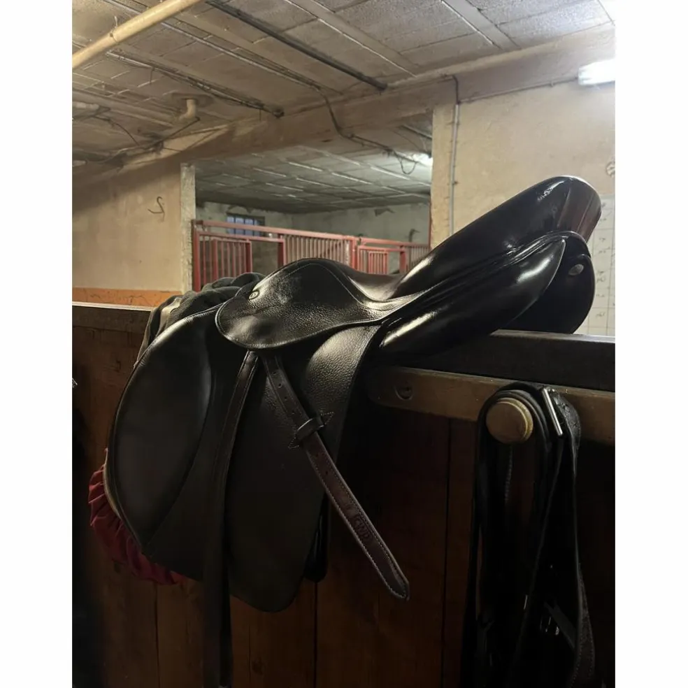 selle CWD