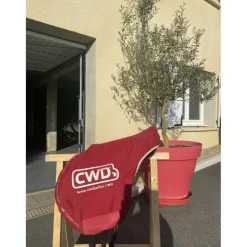 Selle cwd