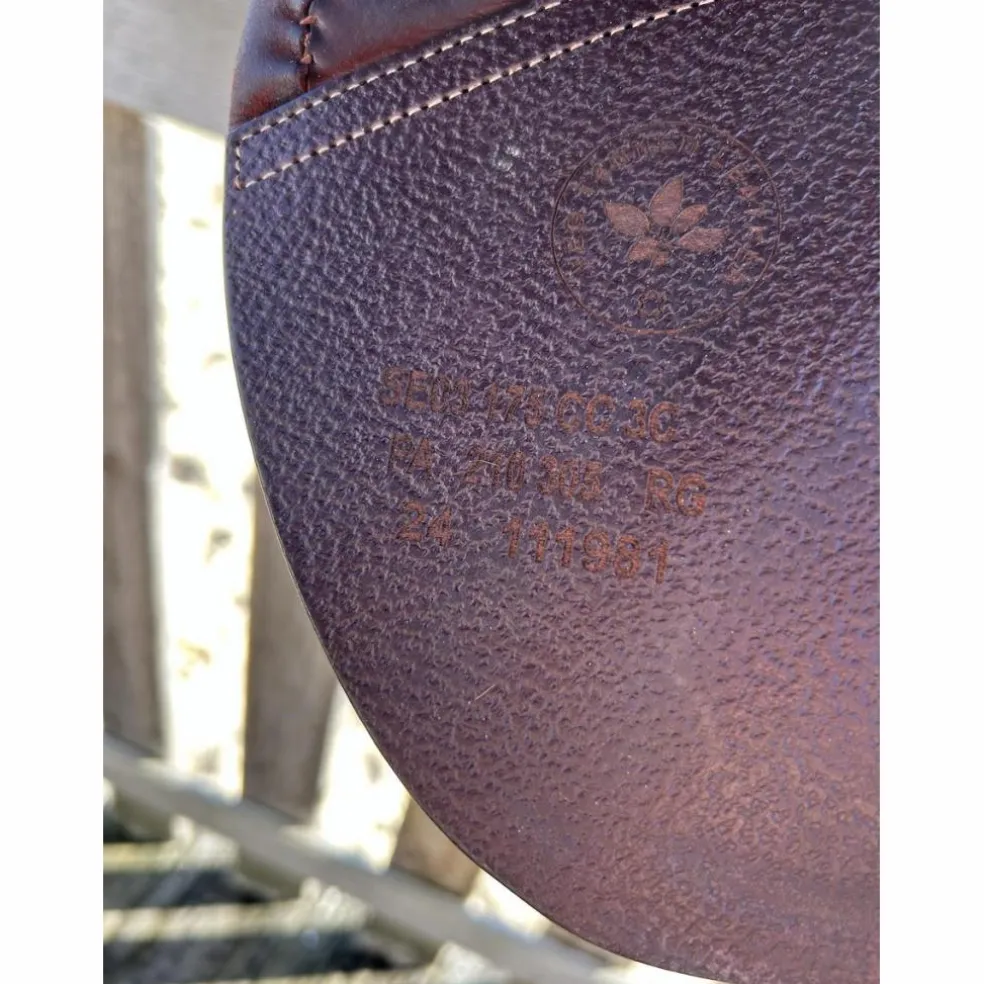 Selle cwd
