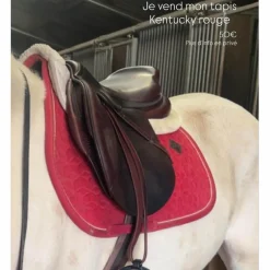 selle CWD