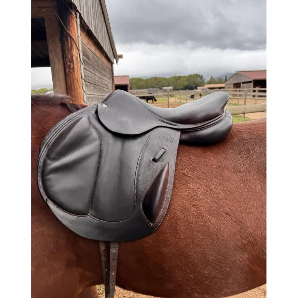 Selle CWD