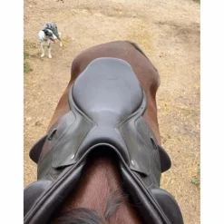 Selle CWD