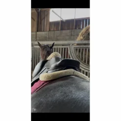 Selle CWD