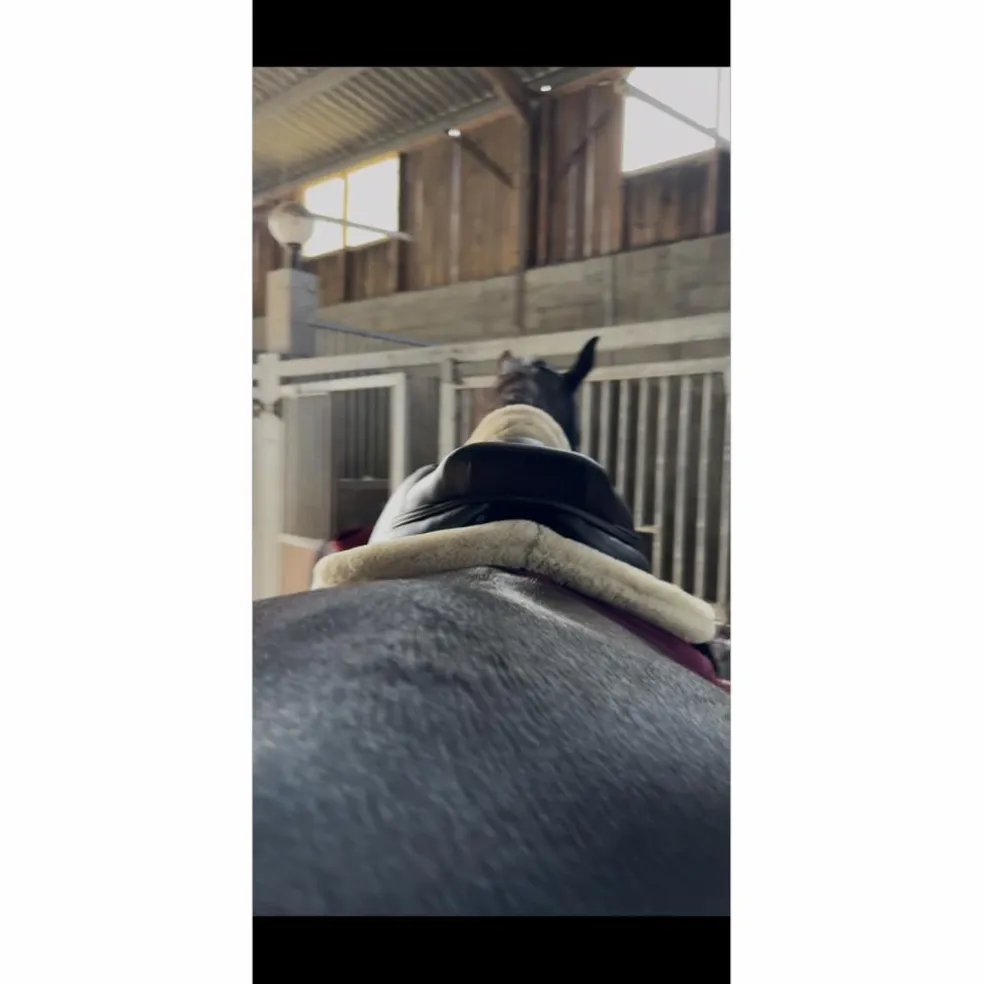 Selle CWD