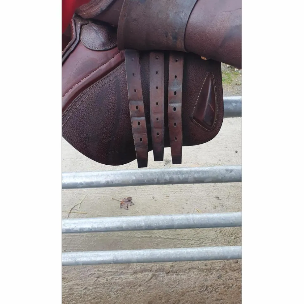 Selle CWD