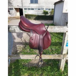 Selle CWD