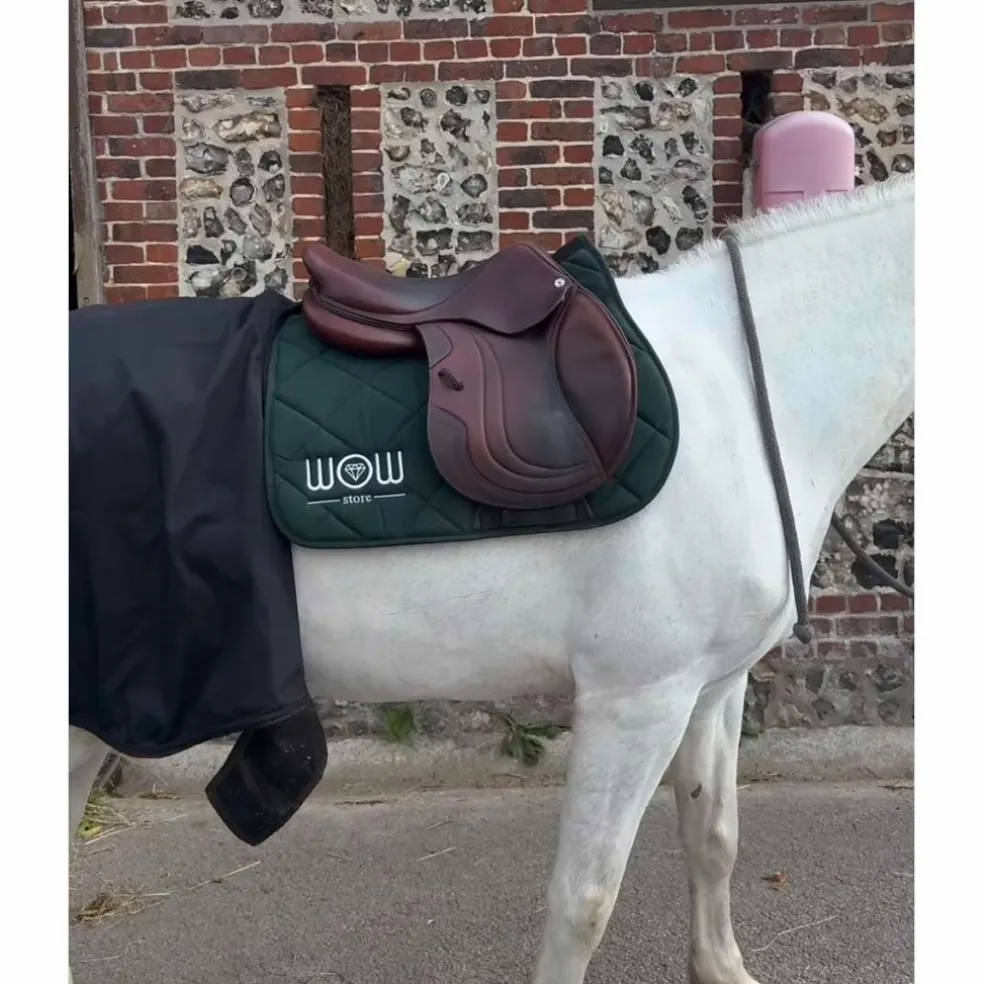 selle cwd 17,5 pouces