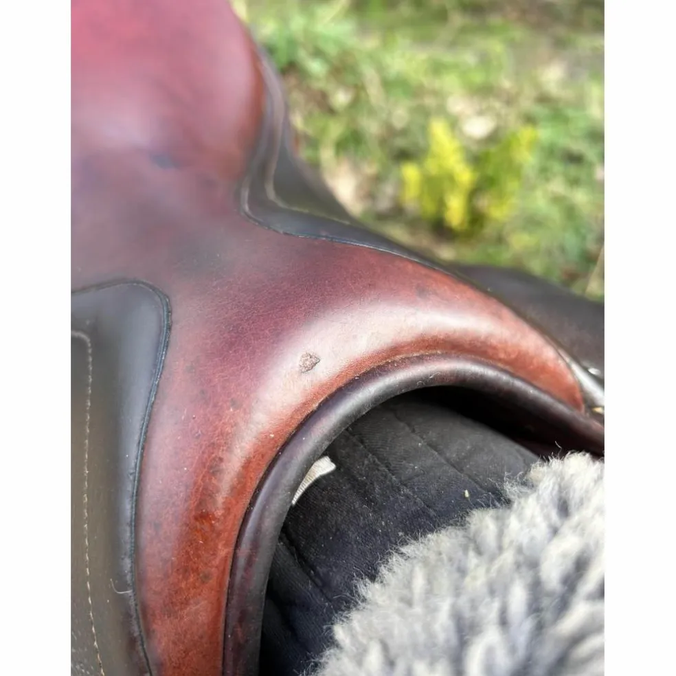 selle cwd 17 pouces