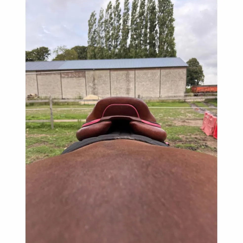 SELLE CWD SE02 2021