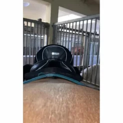 Selle de dressage