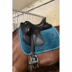 Selle de dressage