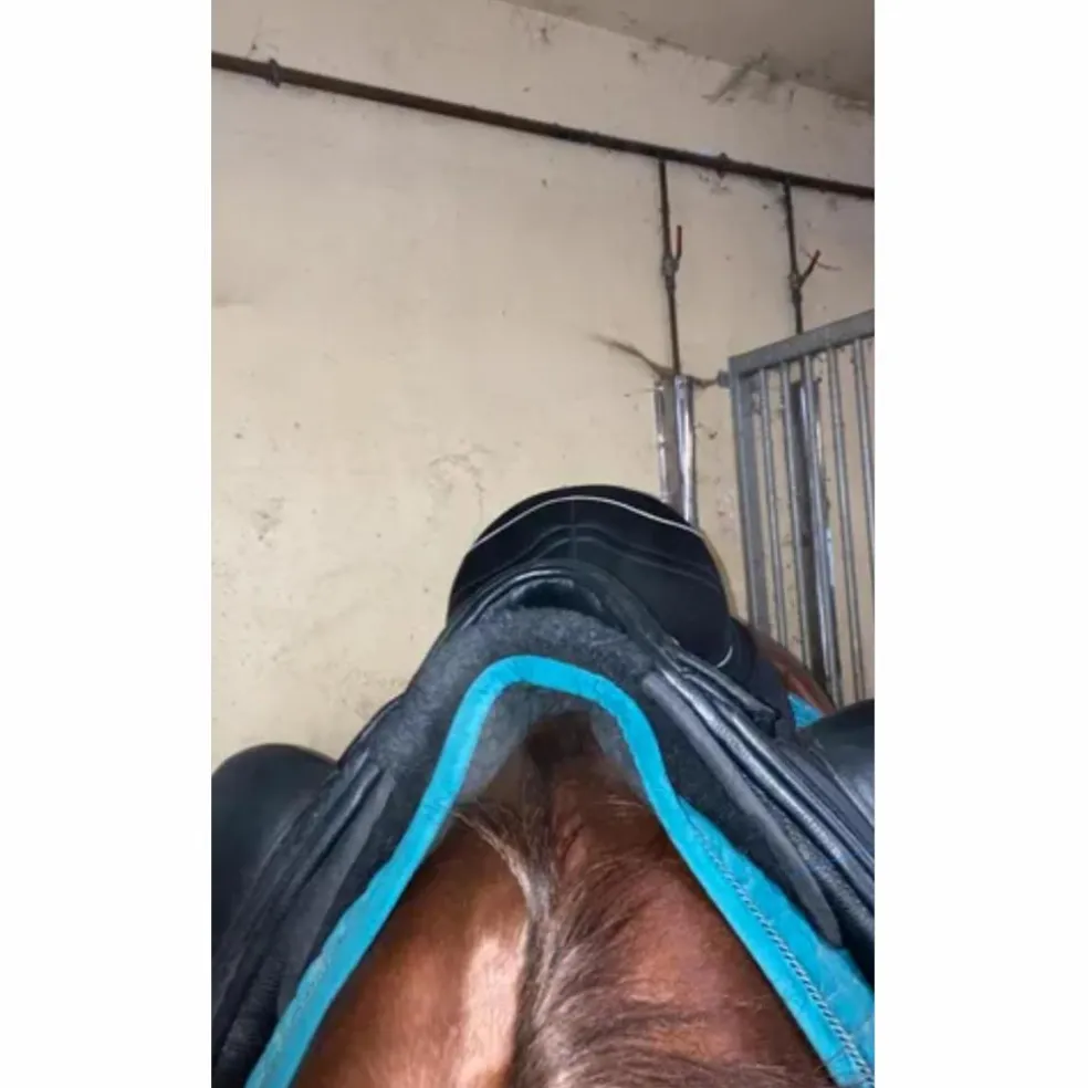 Selle de dressage