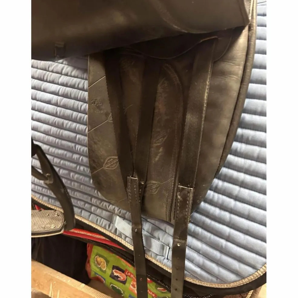selle de dressage