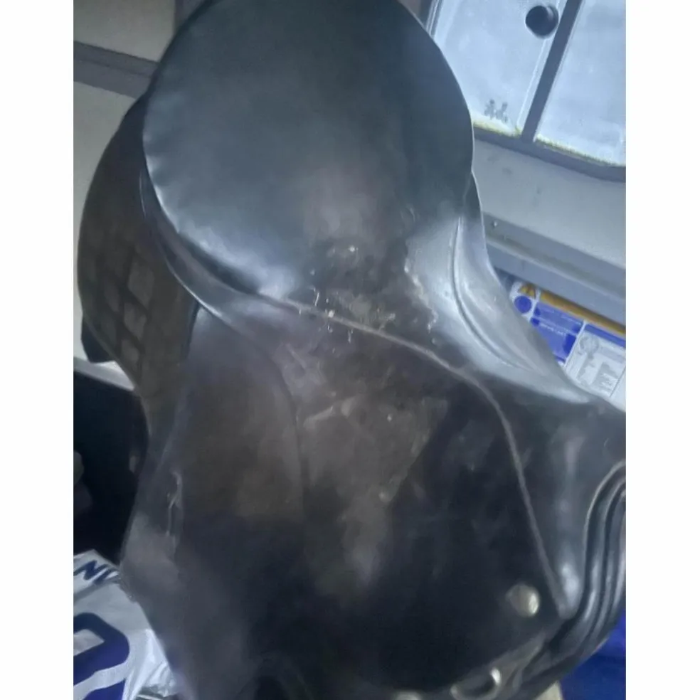 selle de dressage