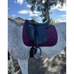 Selle de dressage