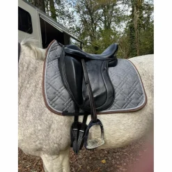 Selle de dressage