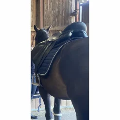 selle de dressage