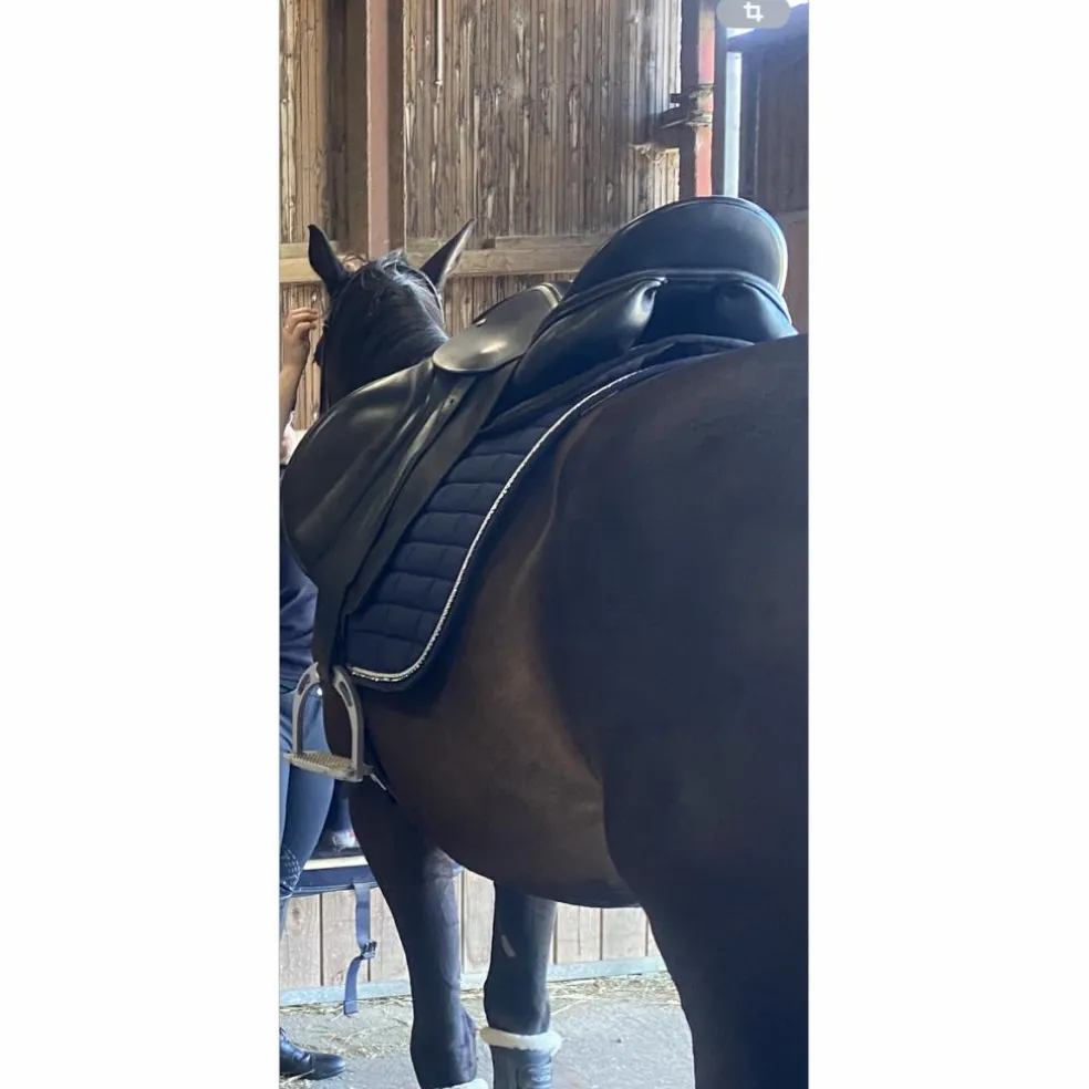 selle de dressage