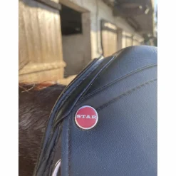 Selle de dressage