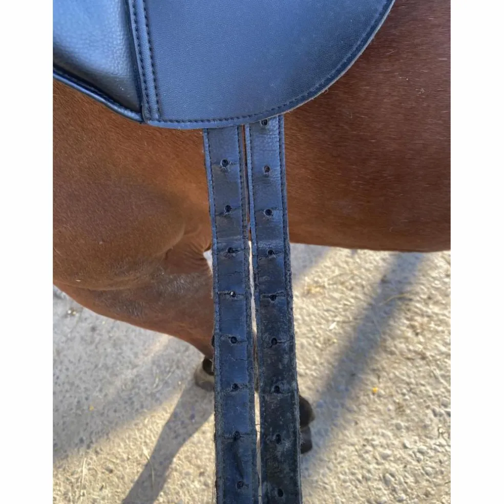 Selle de dressage
