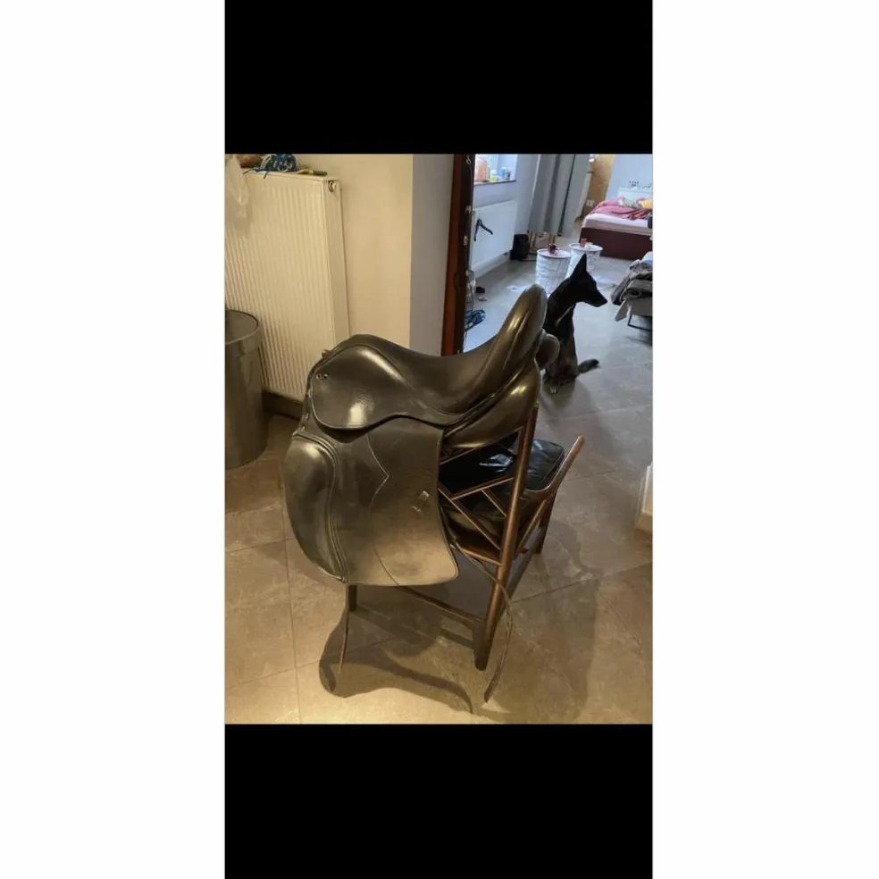 selle de dressage