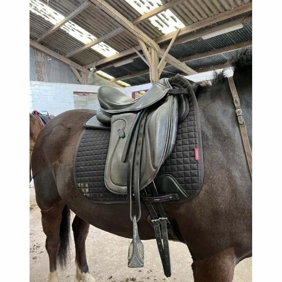 Selle de dressage