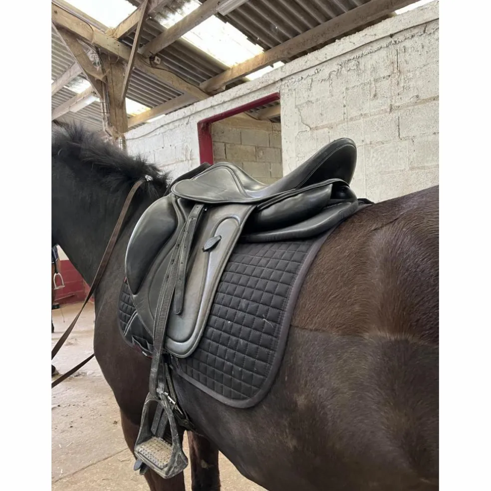 Selle de dressage