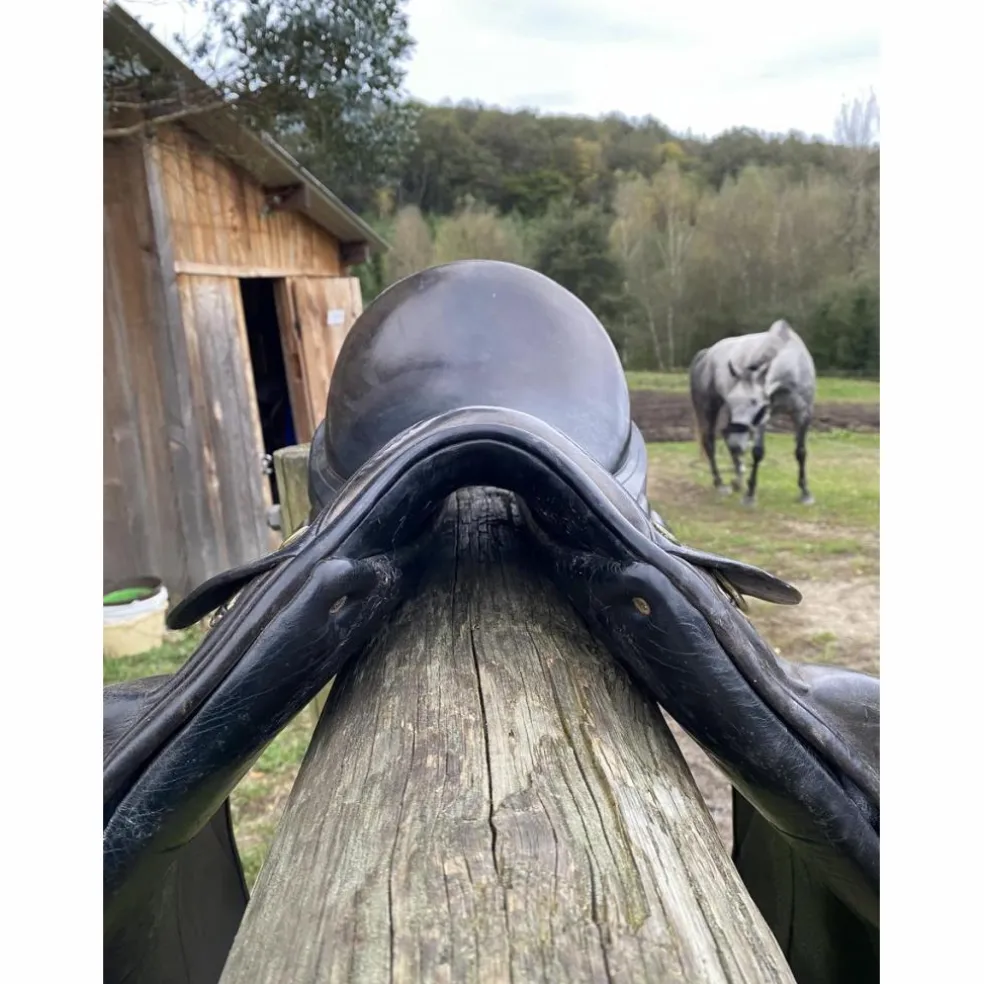 Selle de dressage