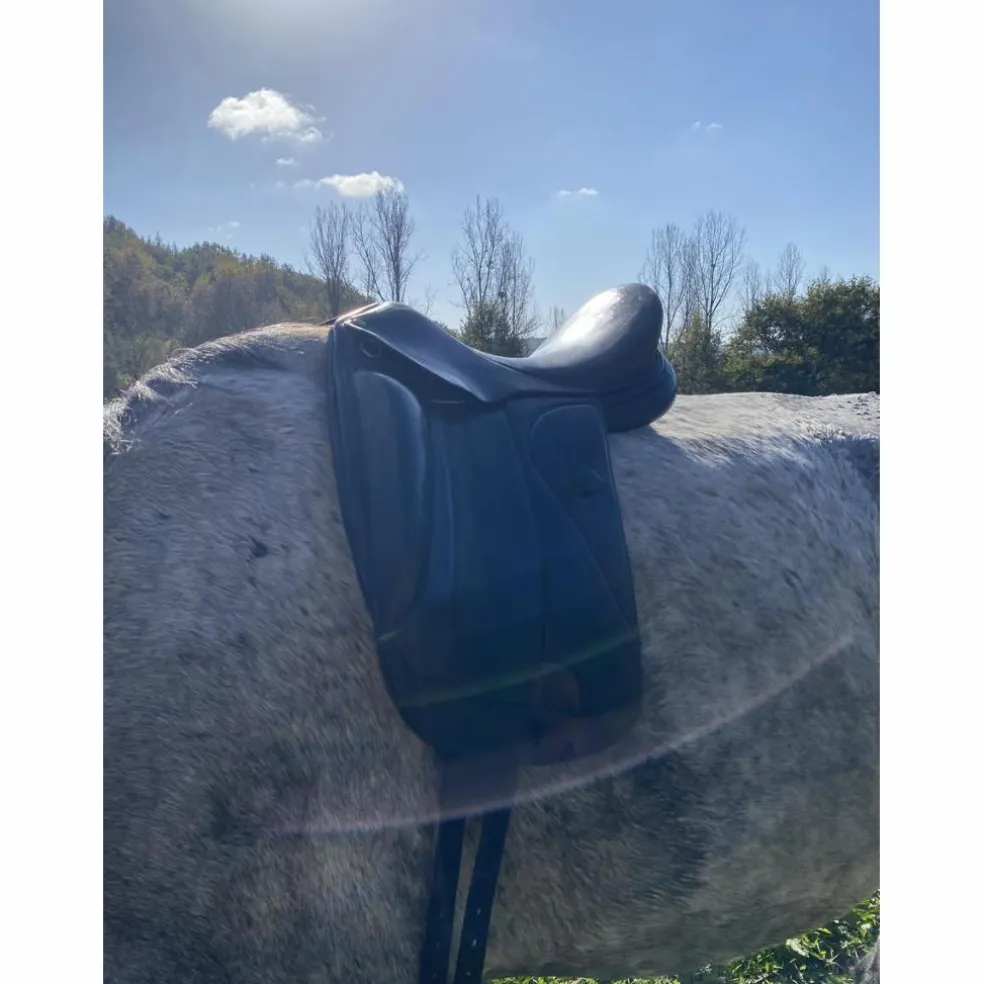 Selle de dressage