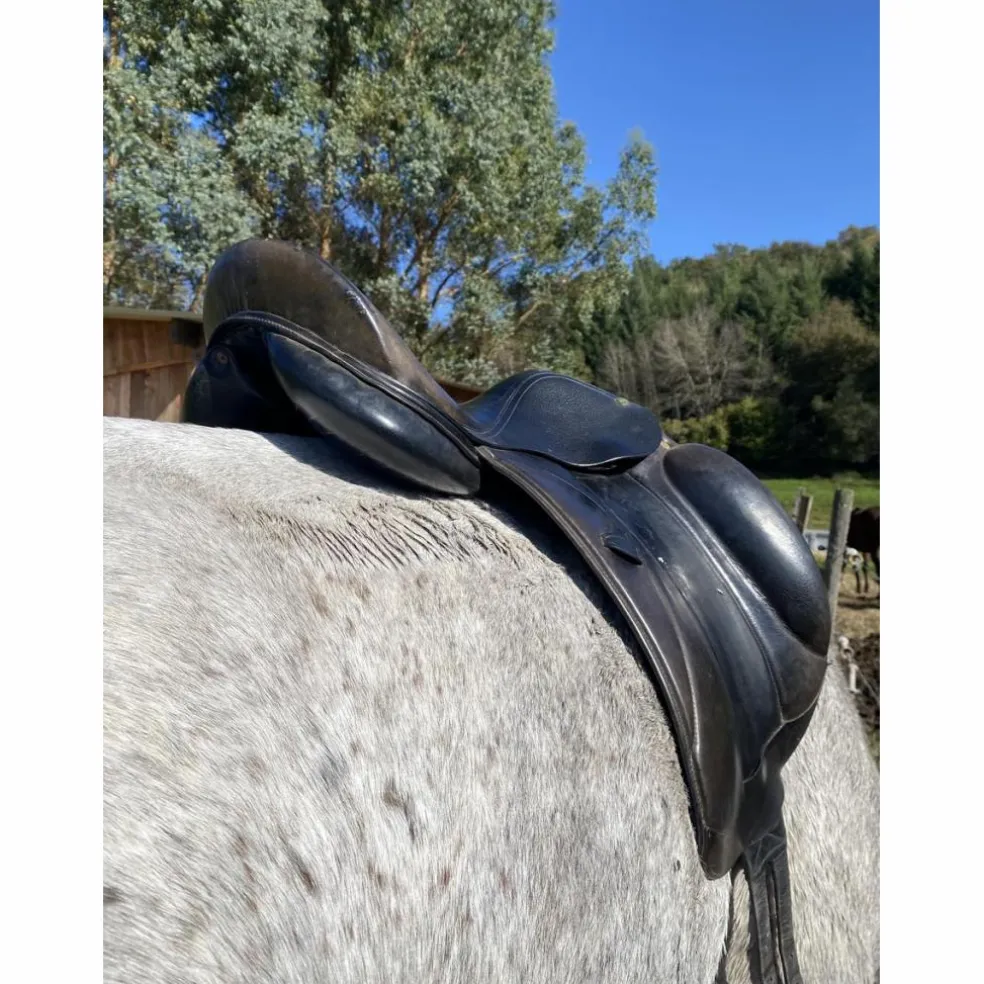 Selle de dressage
