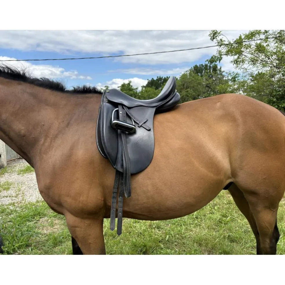 Selle de dressage 17,5