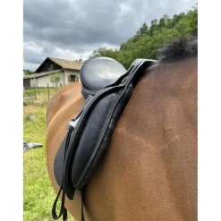 Selle de dressage 17,5