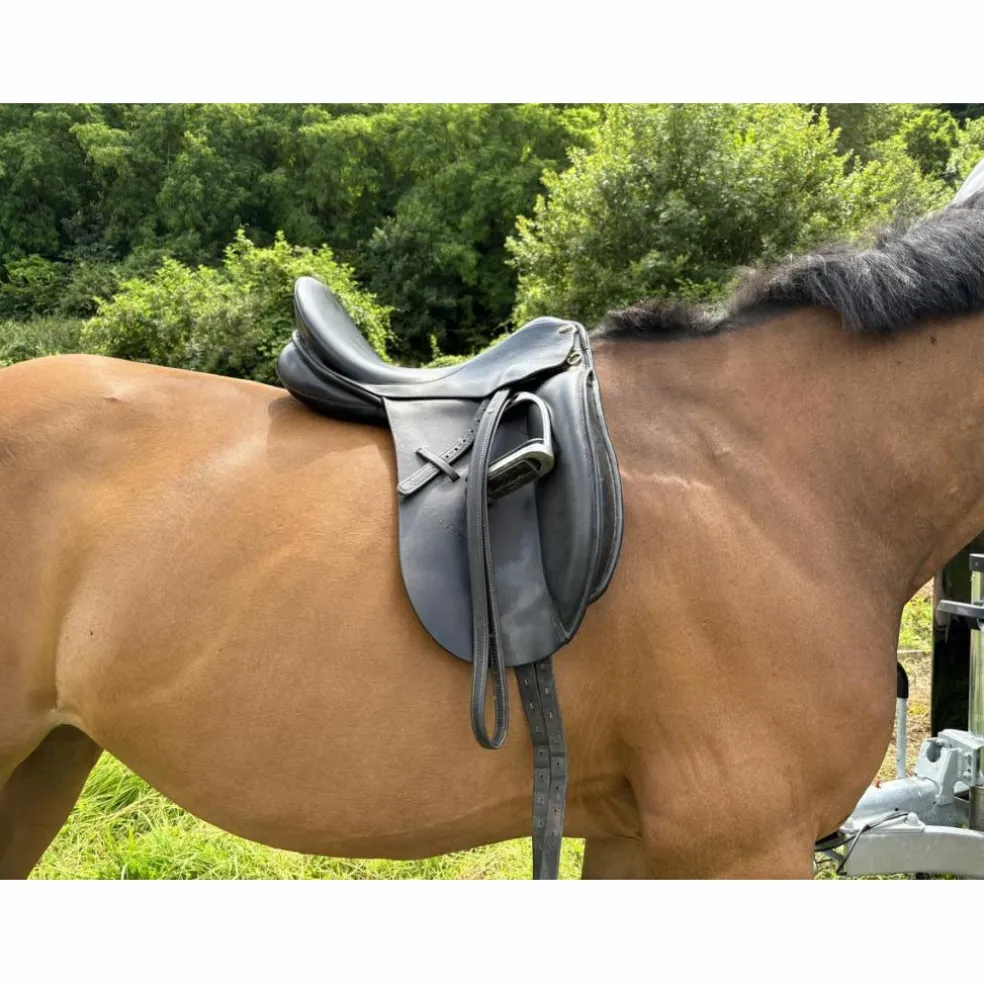 Selle de dressage 17,5